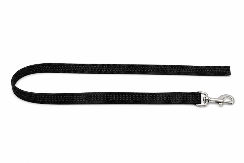 Einfache Leine Nylon