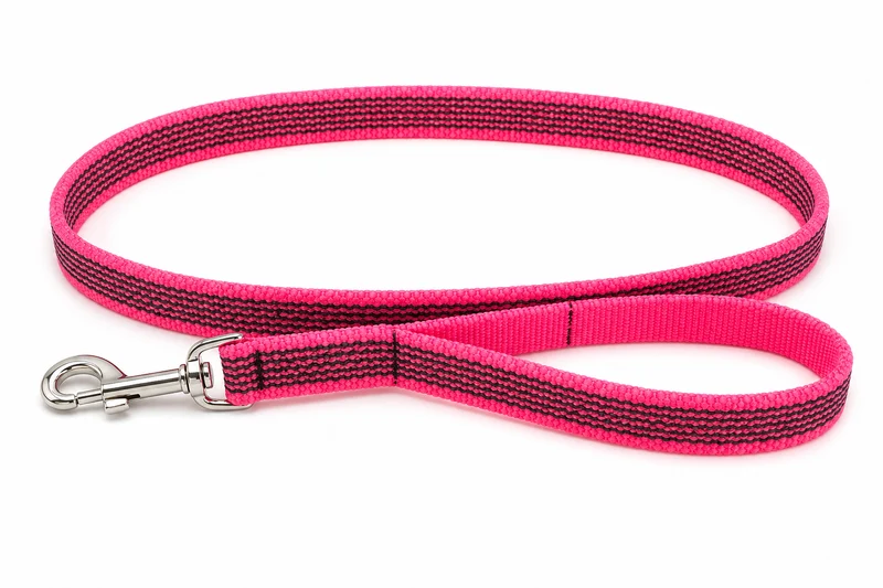 Einfache Leine Nylon