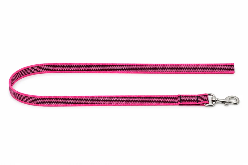 Einfache Leine Nylon