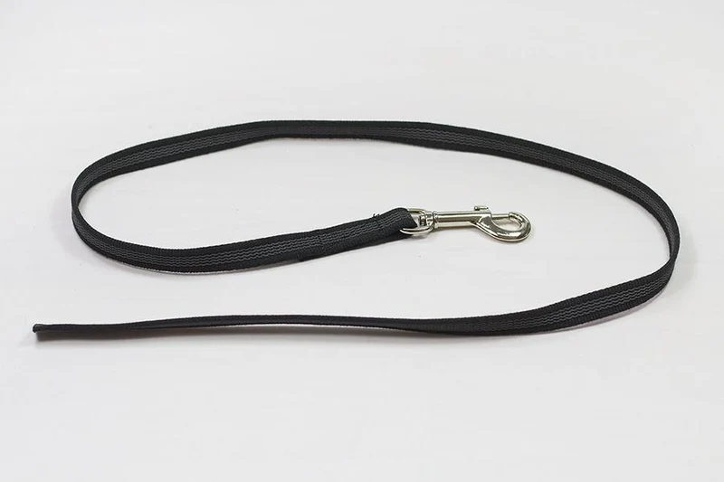 Einfache Leine Nylon