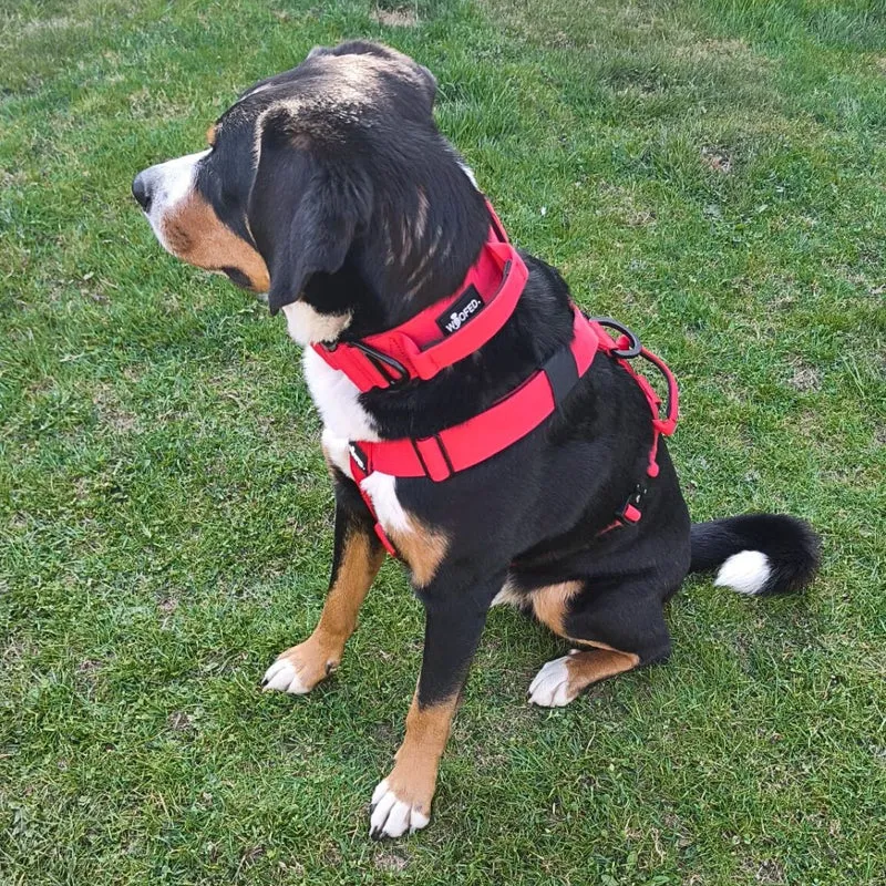 Y-Hundegeschirr 4fach-verstellbar mit Griff und Sicherheitsschnallen Rosso Red - ultraleicht