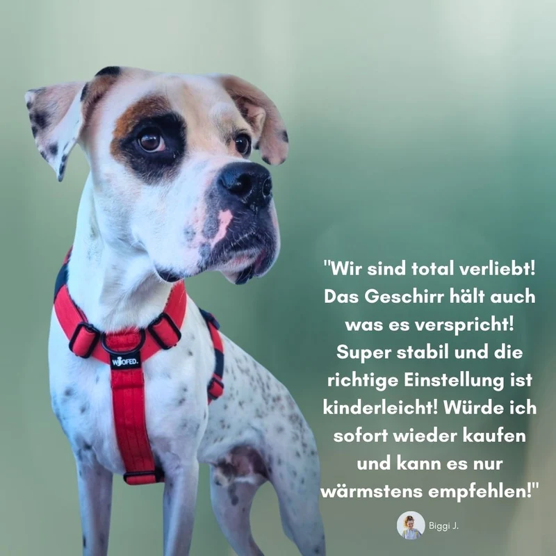 Y-Hundegeschirr 4fach-verstellbar mit Griff und Sicherheitsschnallen Rosso Red - ultraleicht