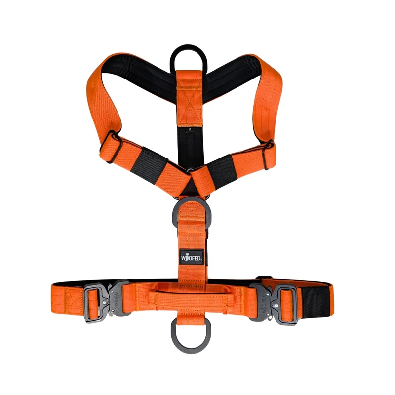 Y-Hundegeschirr 4fach-verstellbar mit Griff und Sicherheitsschnallen Safety Orange - ultraleicht