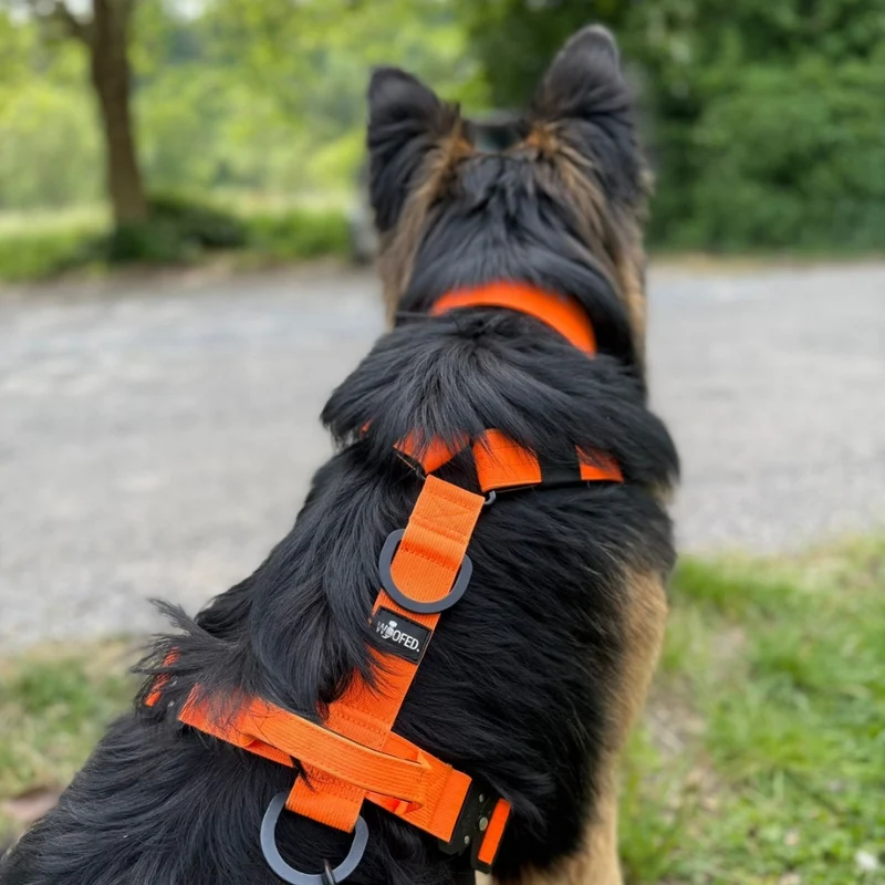 Y-Hundegeschirr 4fach-verstellbar mit Griff und Sicherheitsschnallen Safety Orange - ultraleicht