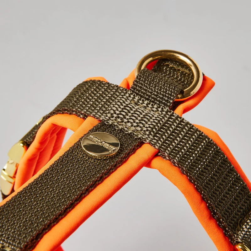 Hundegeschirr Softie NEONORANGE-OLIV