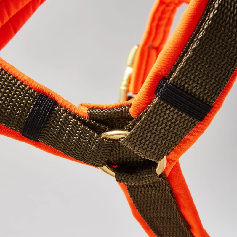 Hundegeschirr Softie NEONORANGE-OLIV