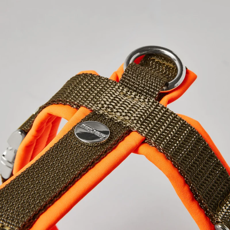 Hundegeschirr Softie NEONORANGE-OLIV