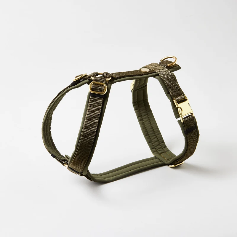 Hundegeschirr Softie OLIV