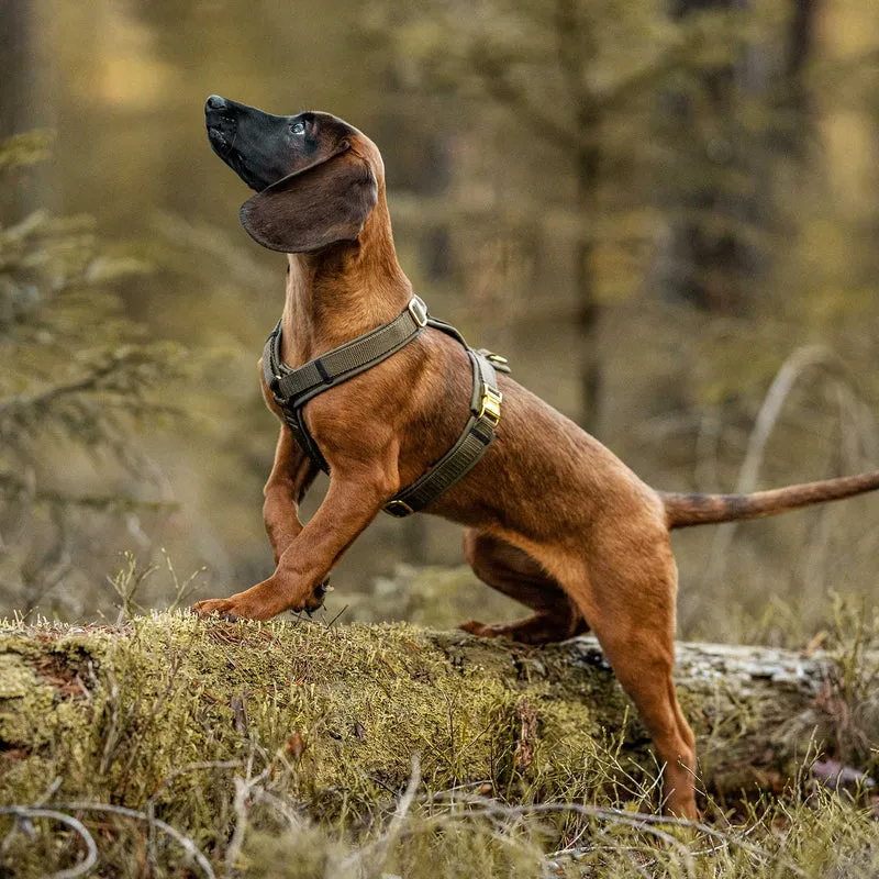 Hundegeschirr Softie OLIV