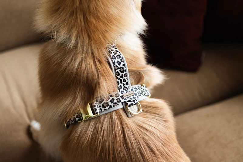 Hundegeschirr LEO