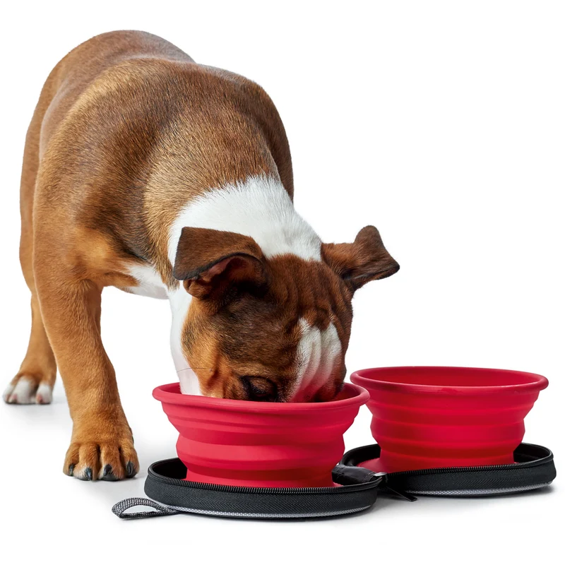 Silikon Reisenapf mit Tasche List