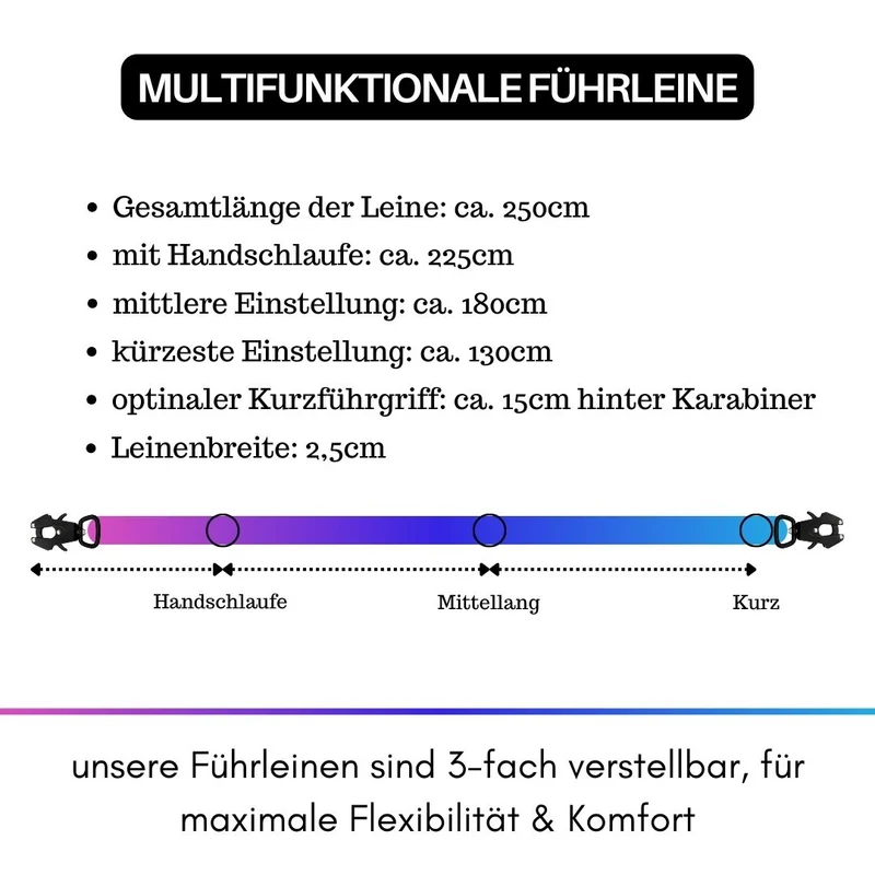 Nylon Tactical Führleine Pink Blue Sky