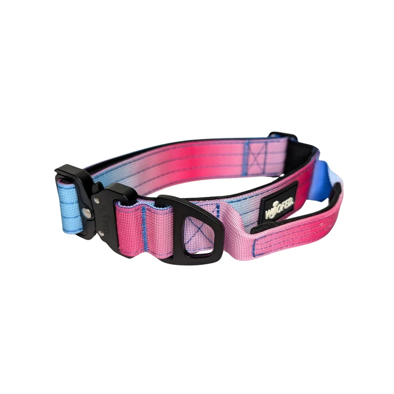 Nylon Tactical Halsband Pink Blue Sky - ultraleicht
