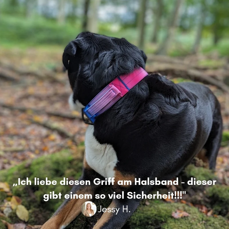 Nylon Tactical Halsband Pink Blue Sky - ultraleicht