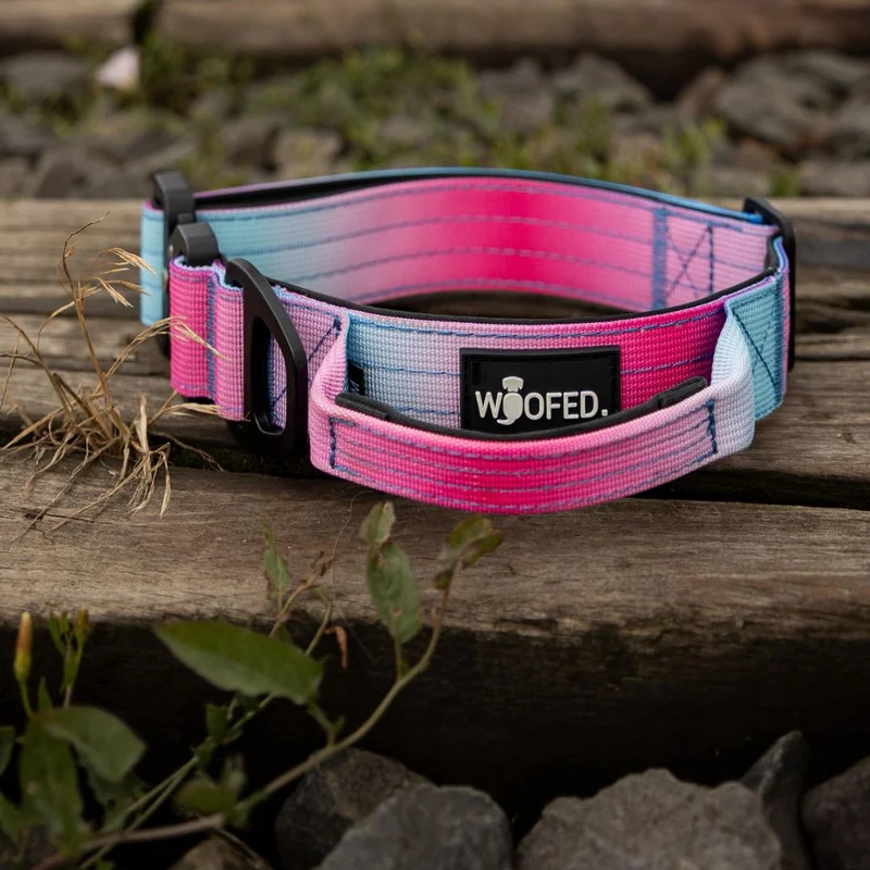 Nylon Tactical Halsband Pink Blue Sky - ultraleicht