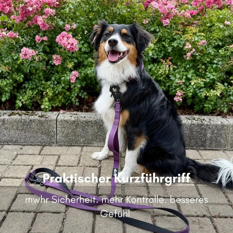 Nylon Tactical Führleine Velvet Purple