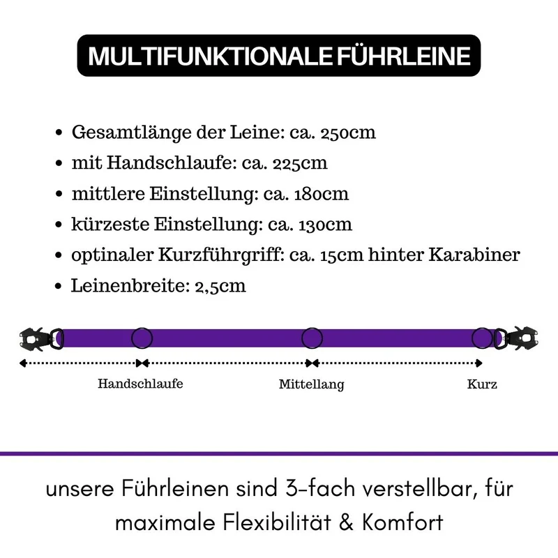 Nylon Tactical Führleine Velvet Purple
