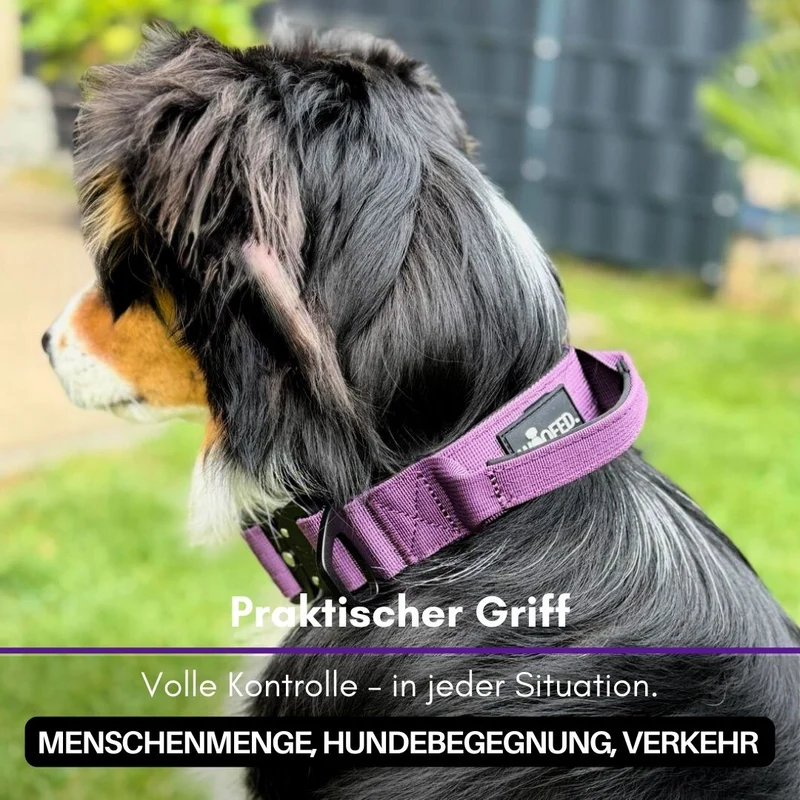 Nylon Tactical Halsband Velvet Purple - ultraleicht