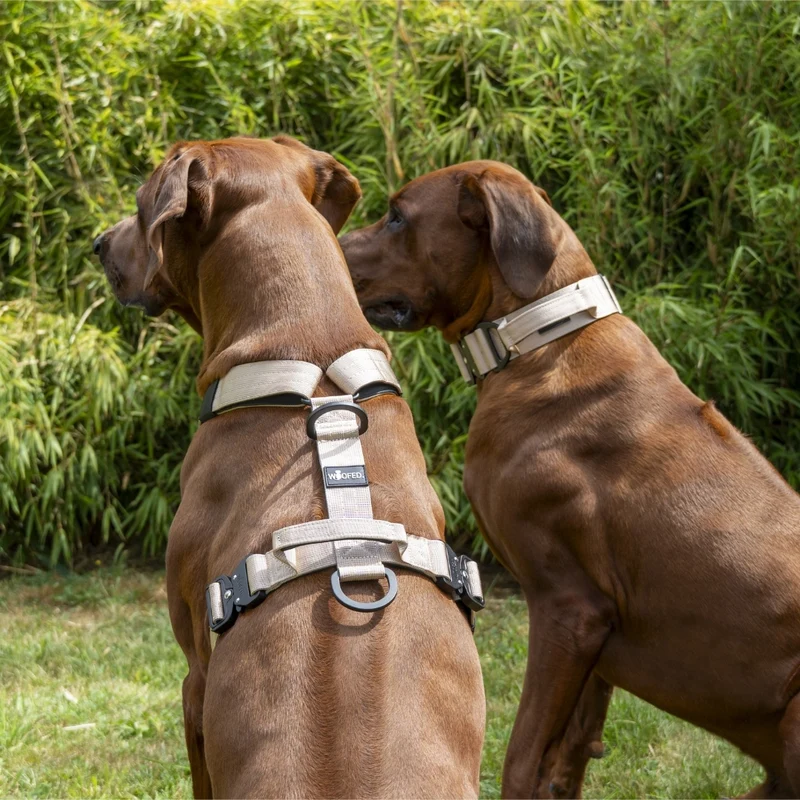 Y-Hundegeschirr 4fach-verstellbar mit Griff und Sicherheitsschnallen Desert Tan - ultraleicht