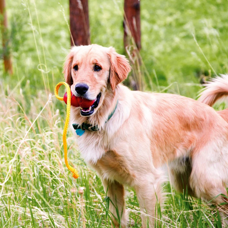 Hundespielzeug KONG® Classic mit Tau