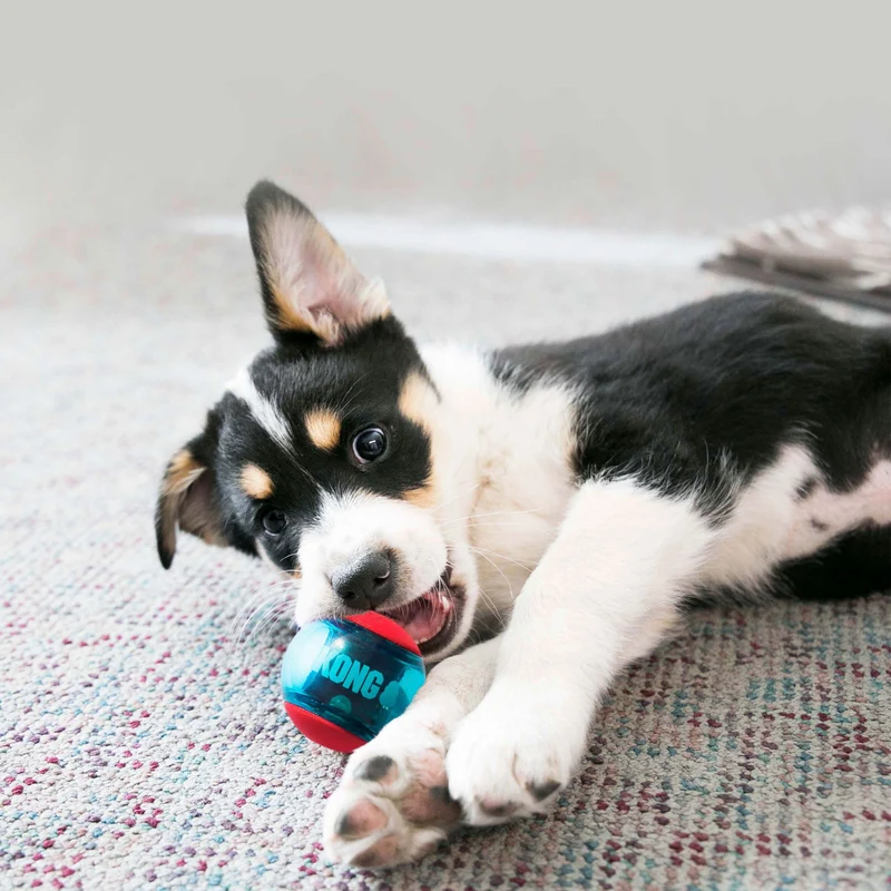 Hundespielzeug KONG® Squeezz® Action