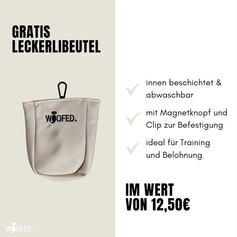 Multifunktionale Gassitasche - 2 in 1 Bauchtasche & Schultertasche Beige