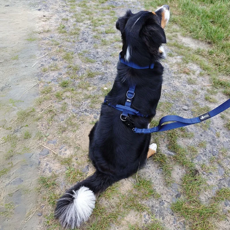 Y-Hundegeschirr 4fach-verstellbar mit Griff und Sicherheitsschnallen Midnight Blue - ultraleicht