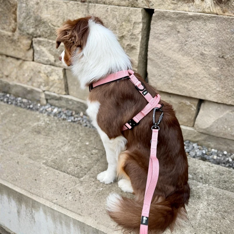 Y-Hundegeschirr 4fach-verstellbar mit Griff und Sicherheitsschnallen Dusty Rose - ultraleicht