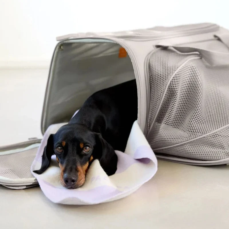 Hundetrage- und Reisetasche Benno Taupe