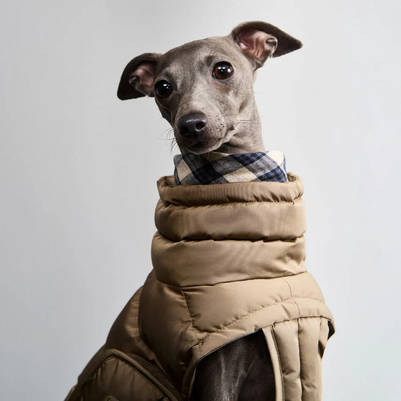 Windhundmantel Alaska Sandy Brown
