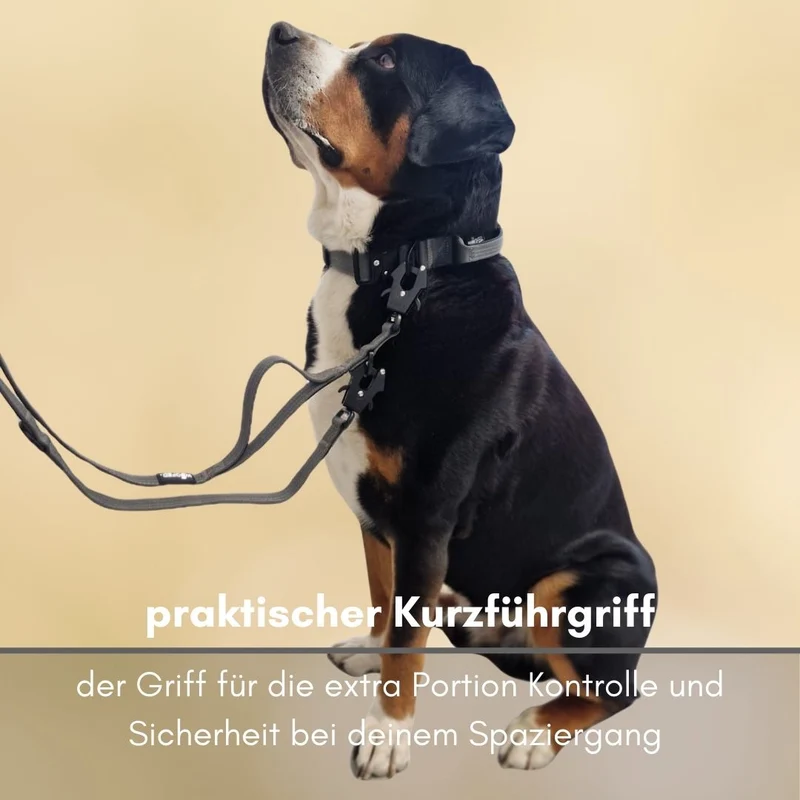 Nylon Tactical Führleine Anthracite
