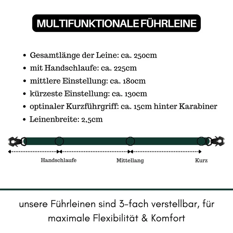 Nylon Tactical Führleine Dark Green