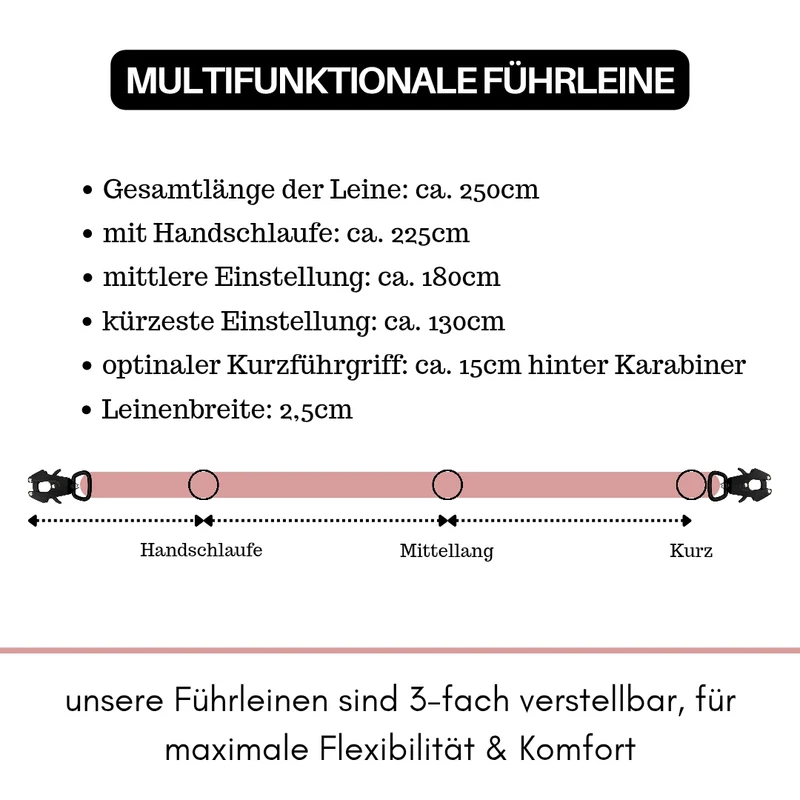 Nylon Tactical Führleine Dusty Rose