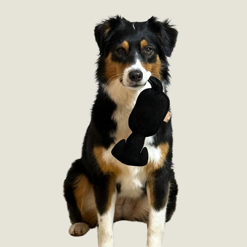 Hundespielzeug "WOOFED." Logo Hund