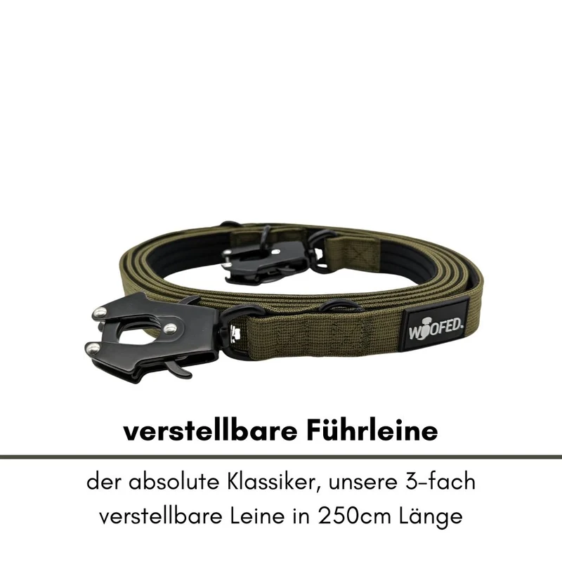 Nylon Tactical Führleine Military Olive
