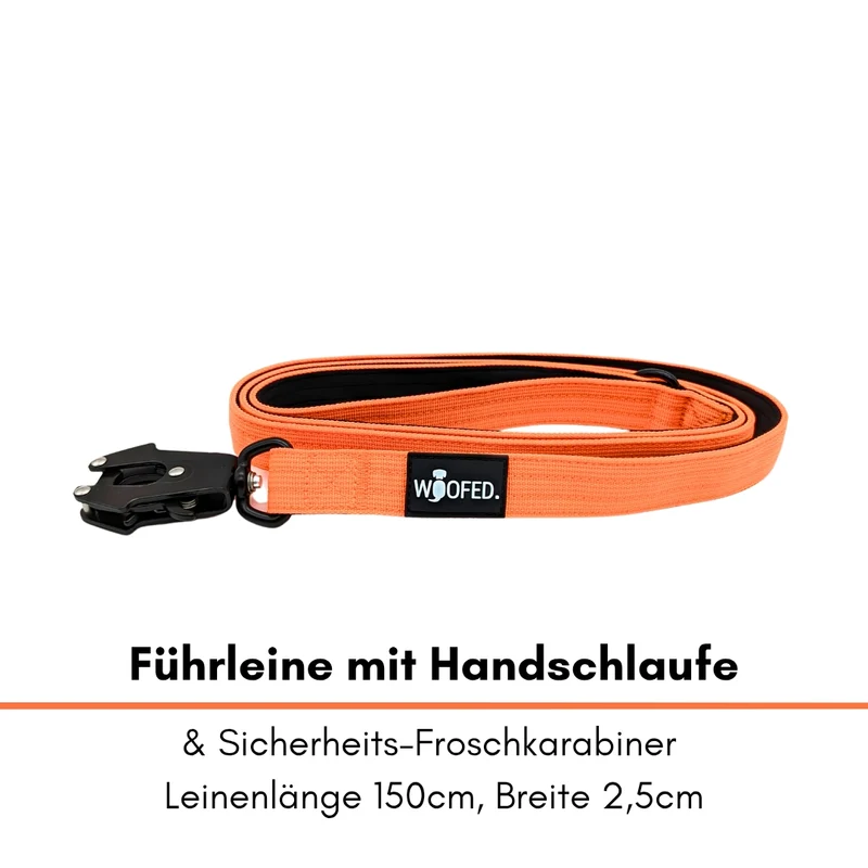 Nylon Tactical Führleine Safety Orange