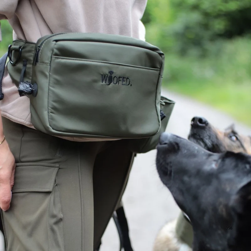Multifunktionale Gassitasche - 2 in 1 Bauchtasche & Schultertasche Olive