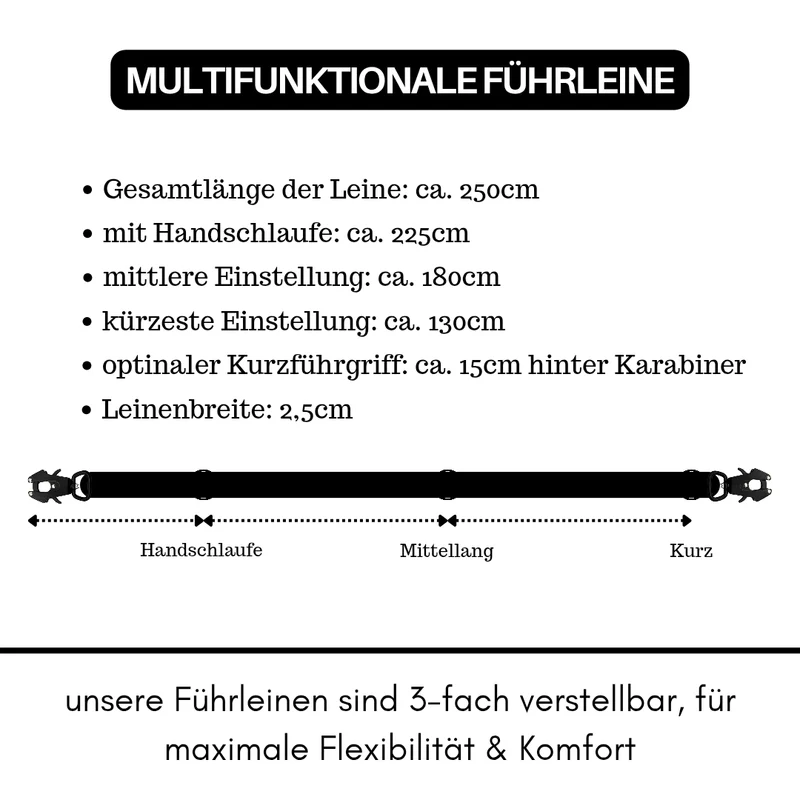 Nylon Tactical Führleine Black Gold
