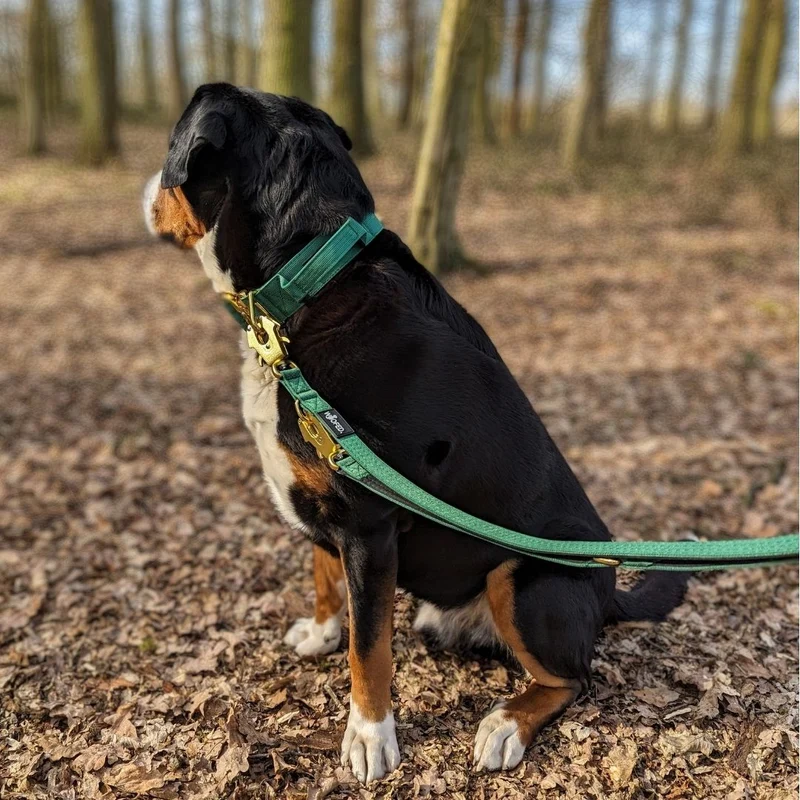 Nylon Tactical Führleine Emerald Green