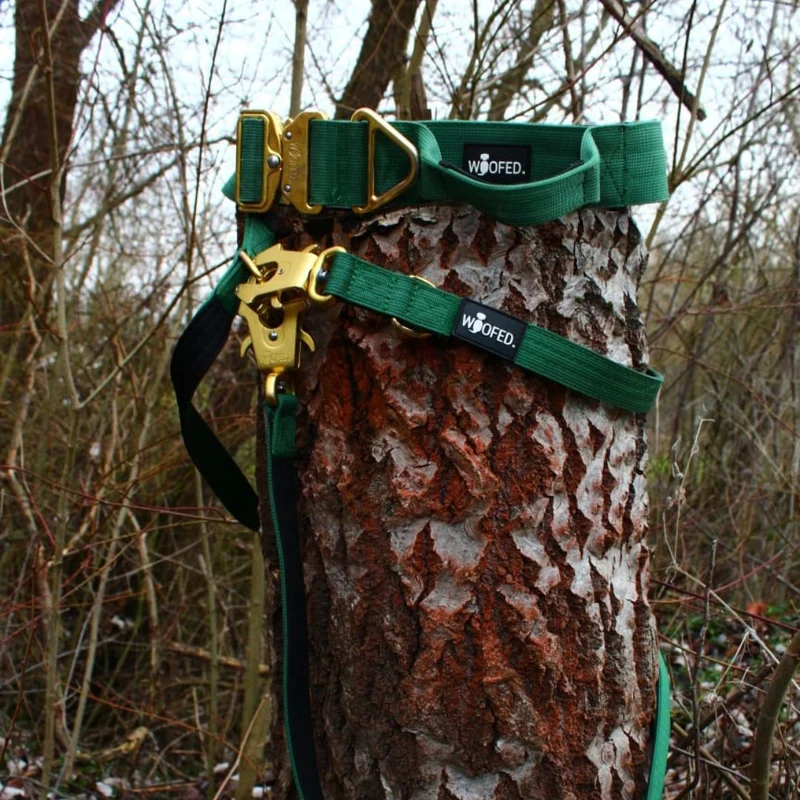 Nylon Tactical Halsband Emerald Green