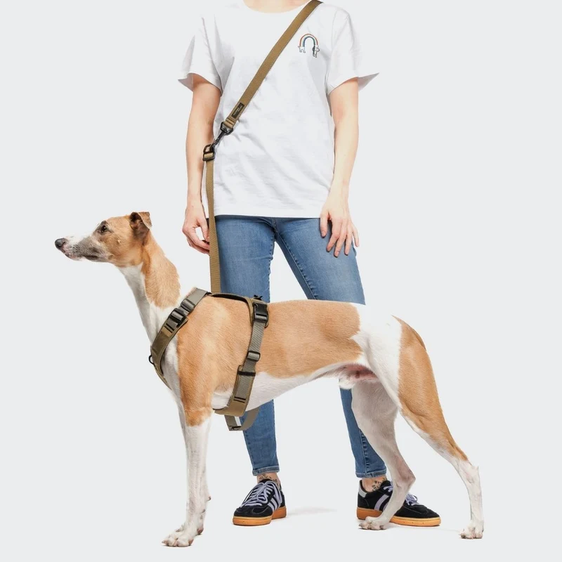 Y-2 Hundegeschirr AKTIV Cordura Khaki/Grey