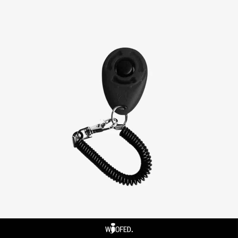Hunde Clicker / Klicker