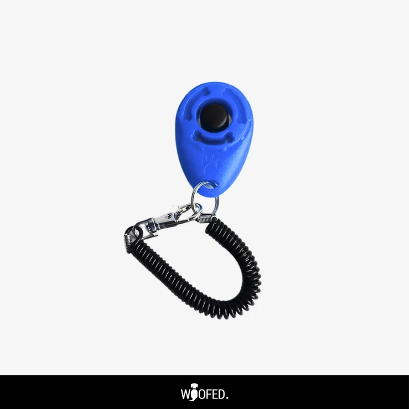 Hunde Clicker / Klicker