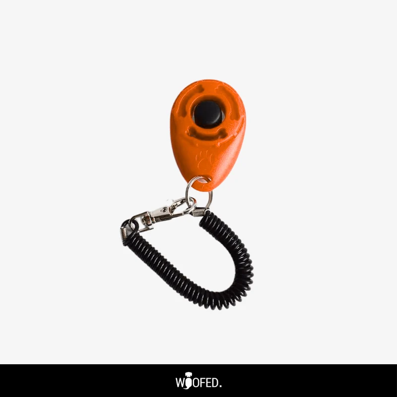 Hunde Clicker / Klicker