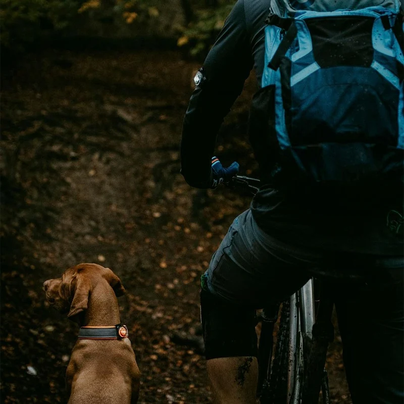 Orbiloc K9 Active Pack