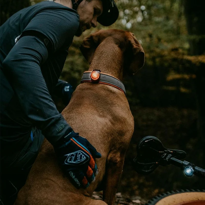 Orbiloc K9 Active Pack