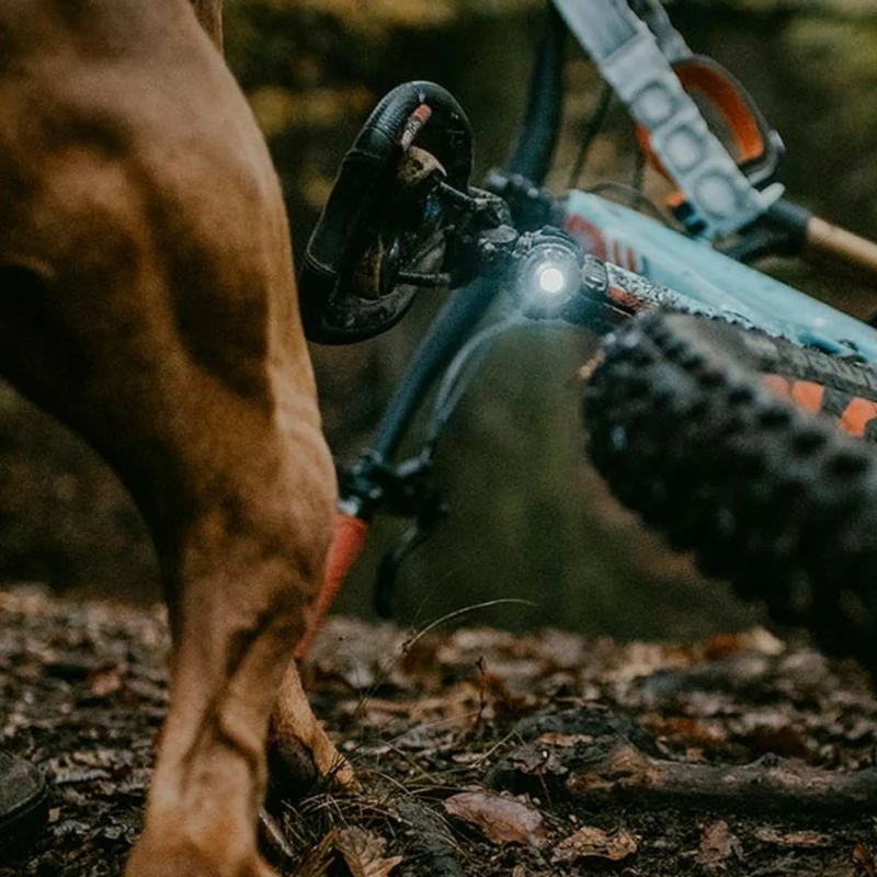 Orbiloc K9 Active Pack
