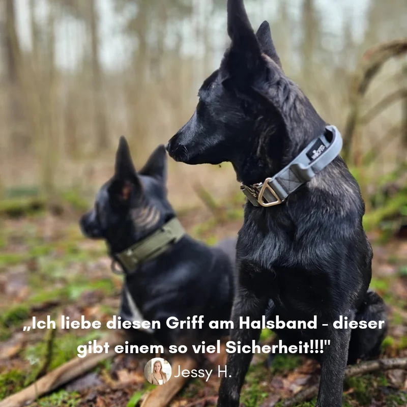 Nylon Tactical Halsband Silver Grey