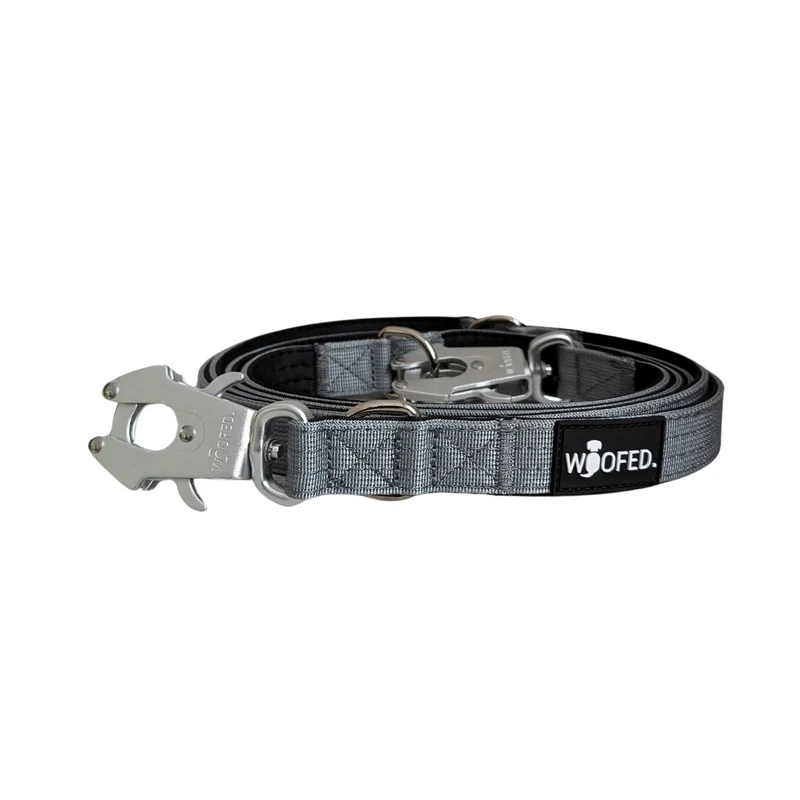 Nylon Tactical Führleine Silver Grey