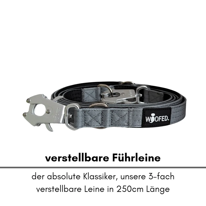 Nylon Tactical Führleine Silver Grey